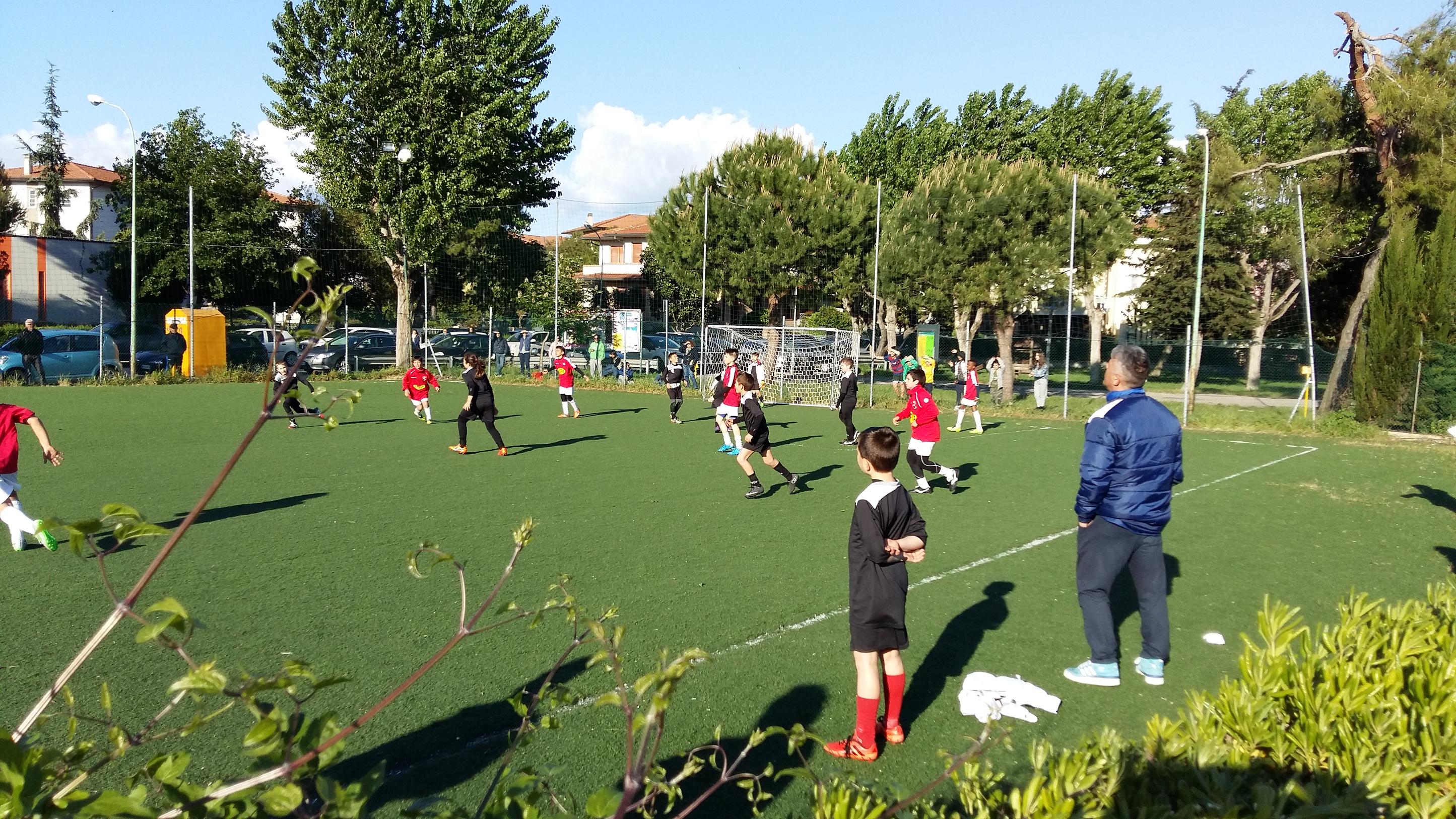 badiali e roccheggiani 2